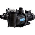 Neptune NPP750 Pool Pump – 1.0HP